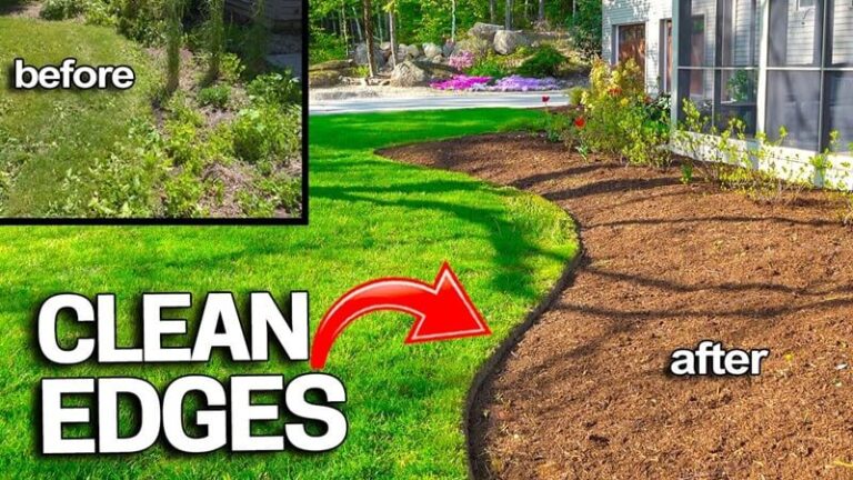 From Messy to Managed: How to Keep Your Yard in Shape